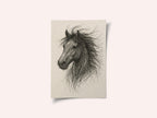 Wild Horse Sketch