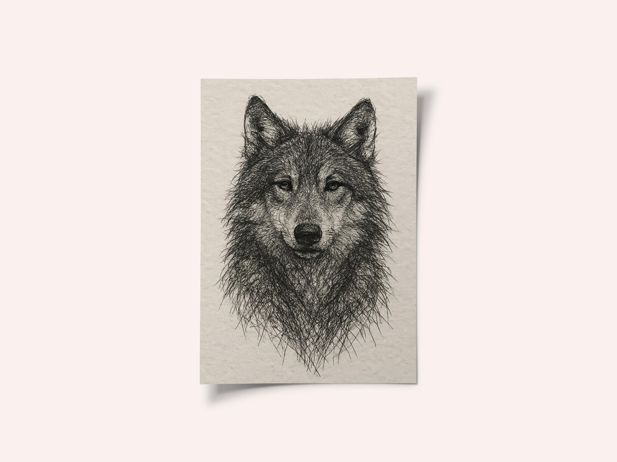 Detailed Wolf Drawing