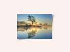 Morning reflection