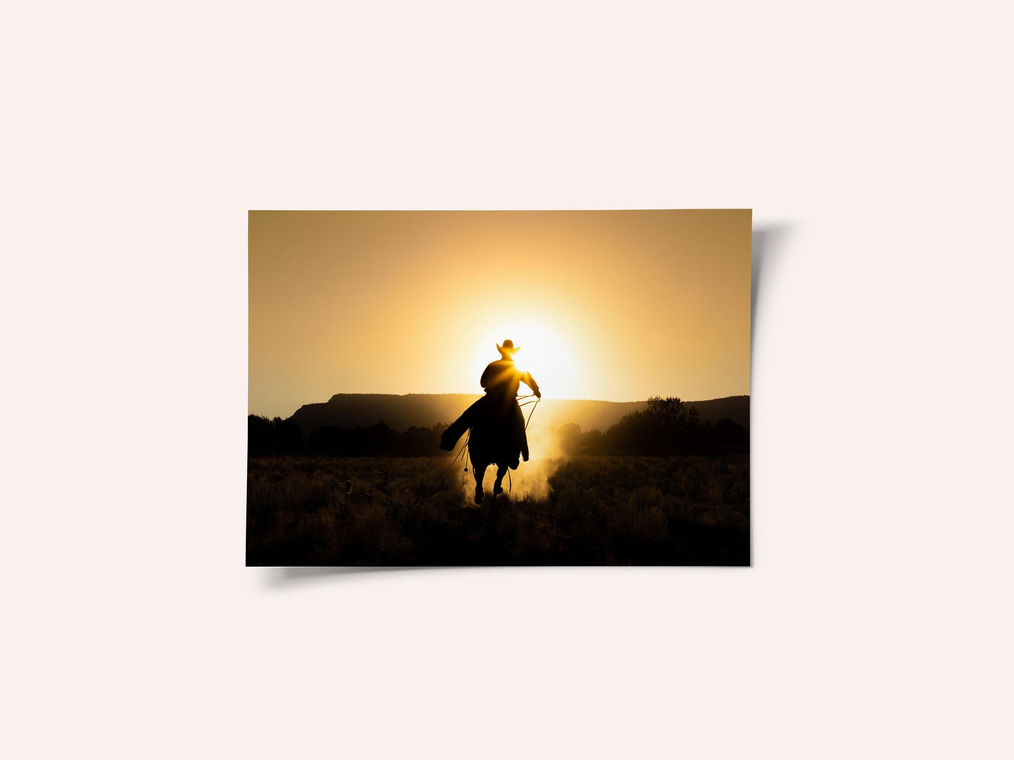 The Cowboy