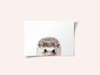 Peeking Hedgehog