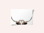 Peeking Longhorn Cow