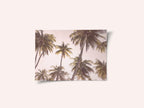 Blush Palm Trees