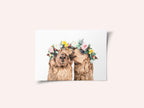 Boho Alpacas