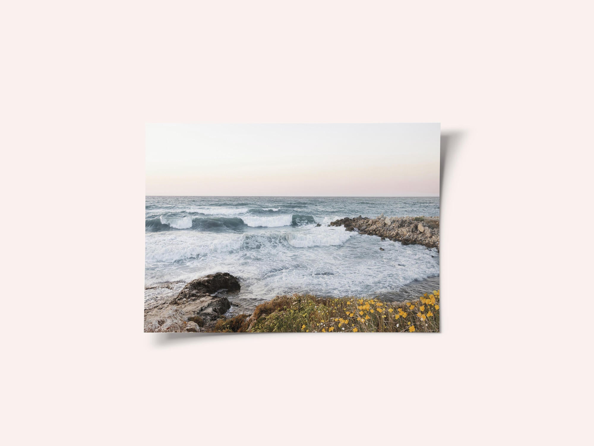 Seascape and poppies