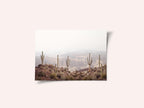 Arizona Valley