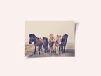 Horses