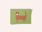 Cat ginger orange