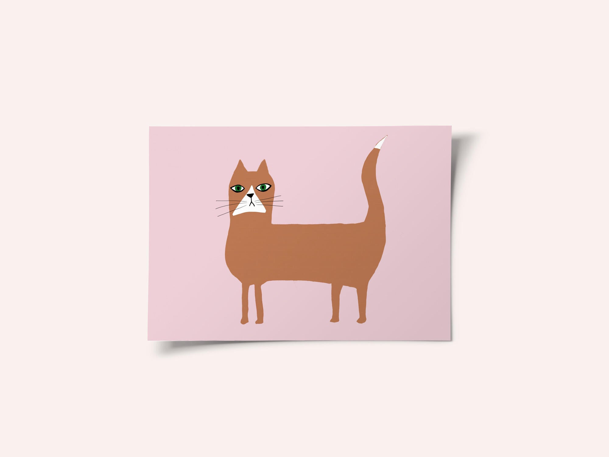 Cat ginger orange