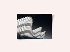 Dynamic White Curves