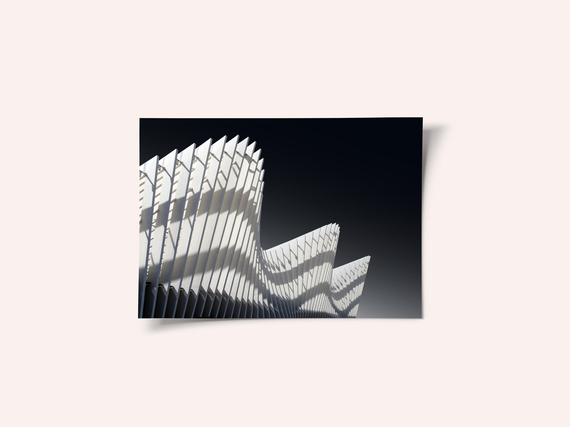 Dynamic White Curves