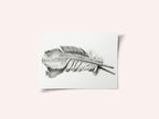 Feather