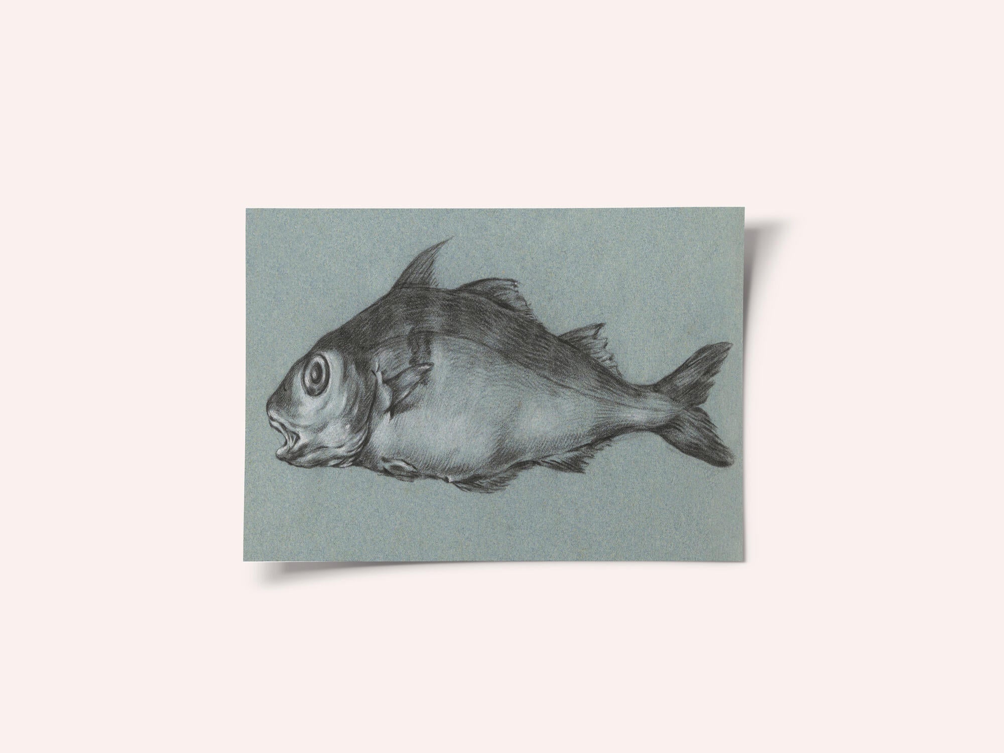 Fish Green (1775–1833)