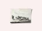 Group of Six Bulls