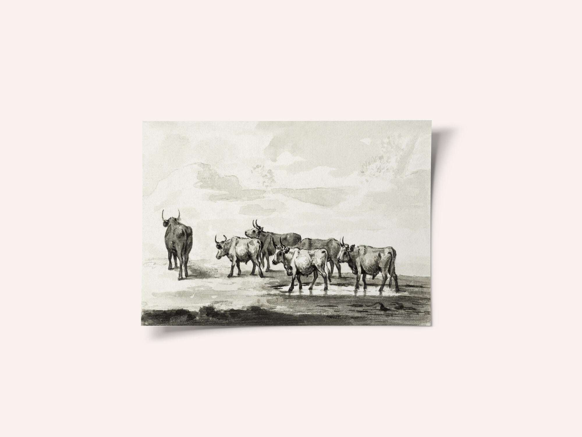 Group of Six Bulls