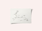 Jumping Deer