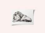 Lying Lion