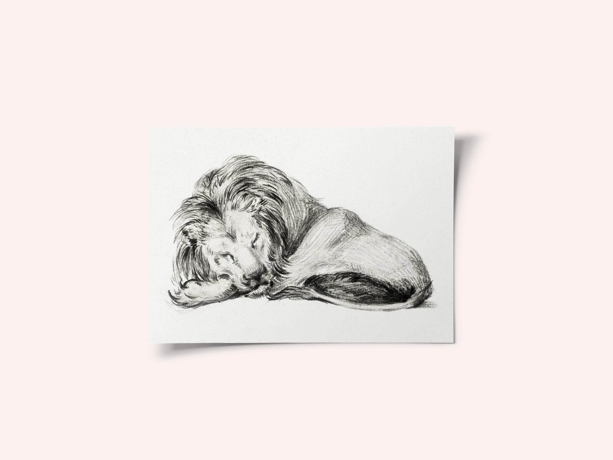 Lying Lion