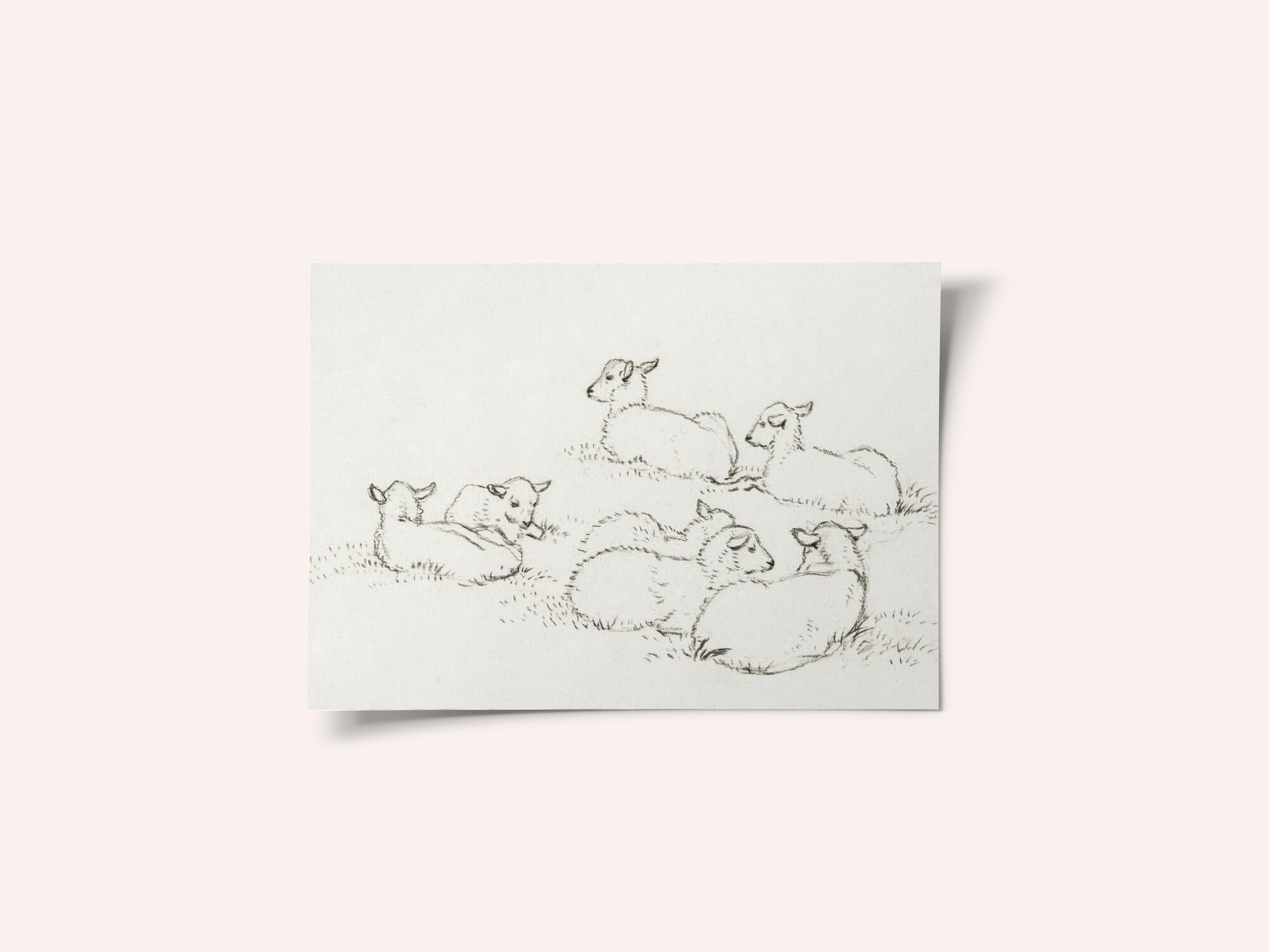 Six Lying Lambs (1820)