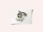 Sketch of a Cat (1819) By Jean Bernard (1775 1883)