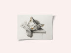 Sketch of a Sleeping Cat