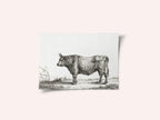 Standing Bull
