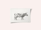 Standing Cow (1820)