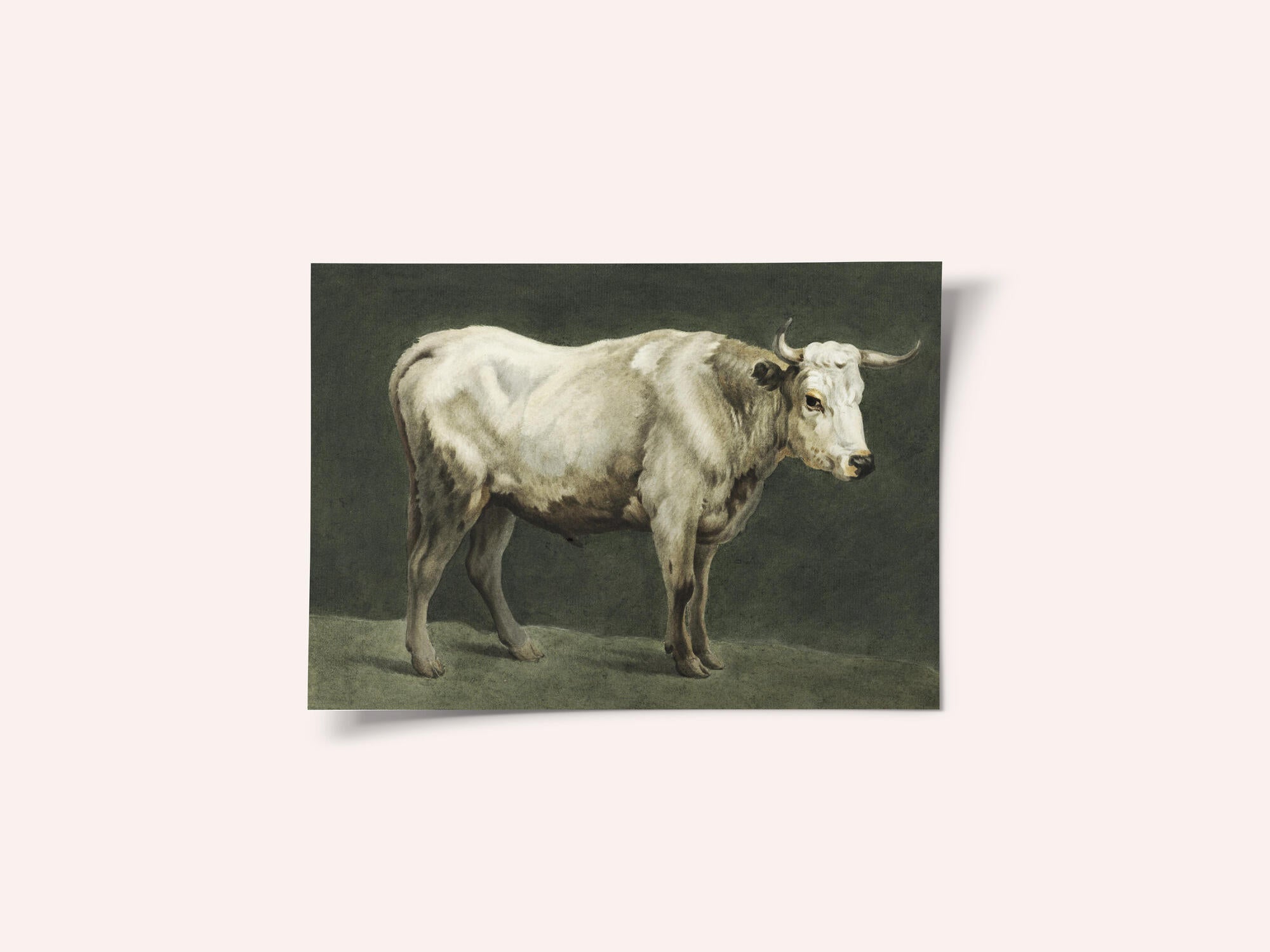Standing Bull Painting