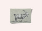 Standing Goat By Jean Bernard