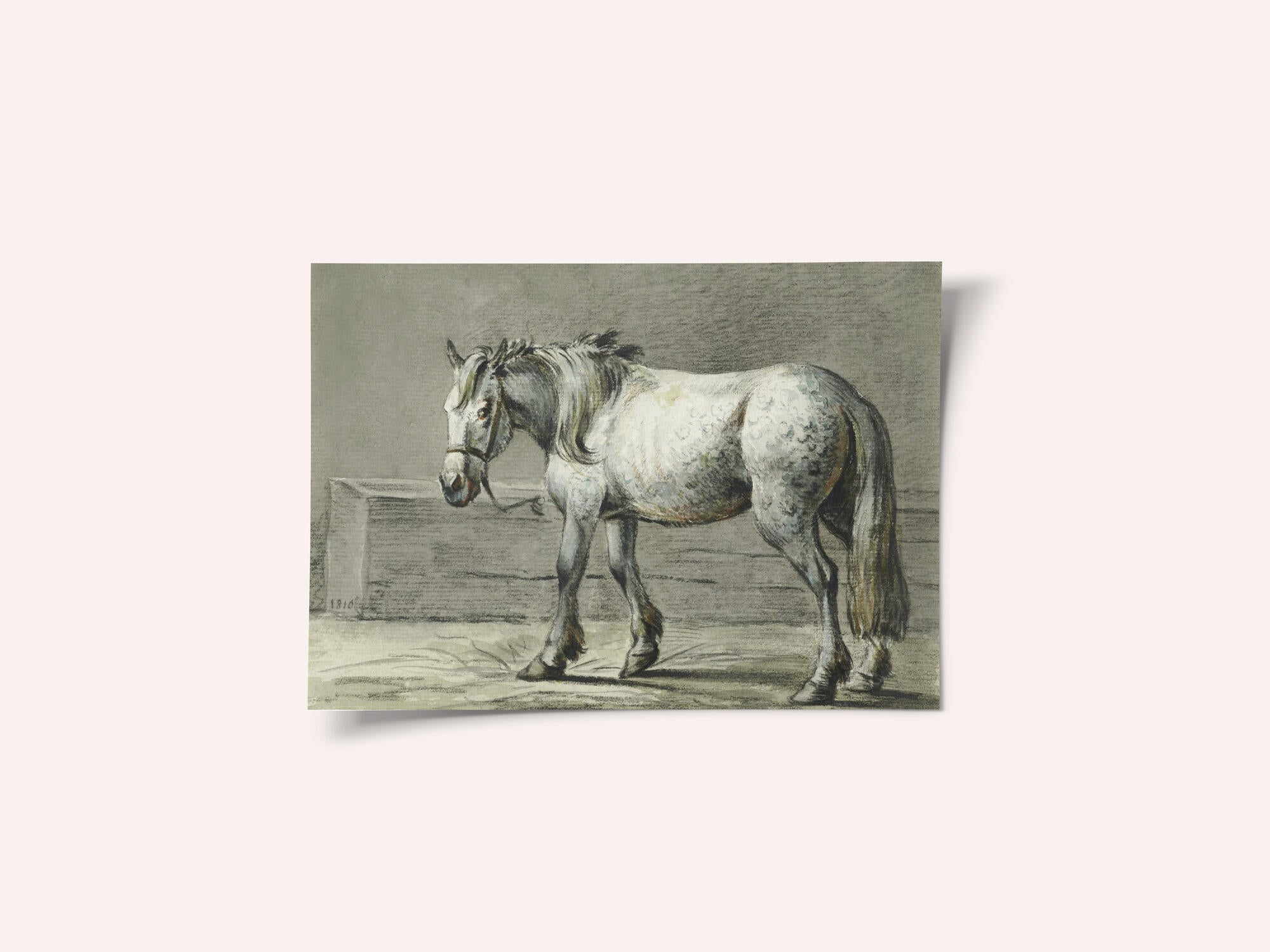 Standing Horse (1810   1816) By Jean Bernard