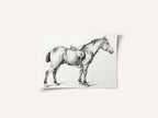 Standing Horse By Jean Bernard (1775 1883)