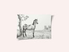 Standing Mottled Horse