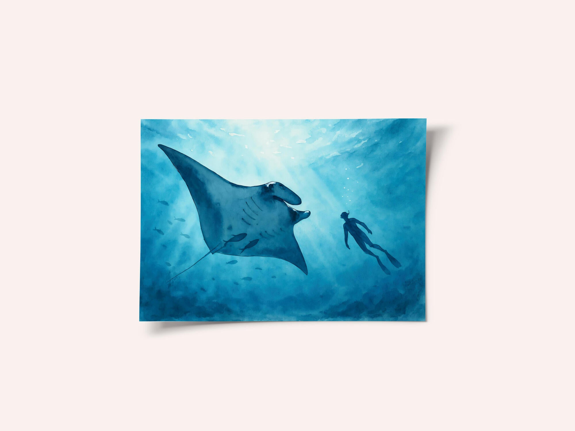 Manta Ray Encounter