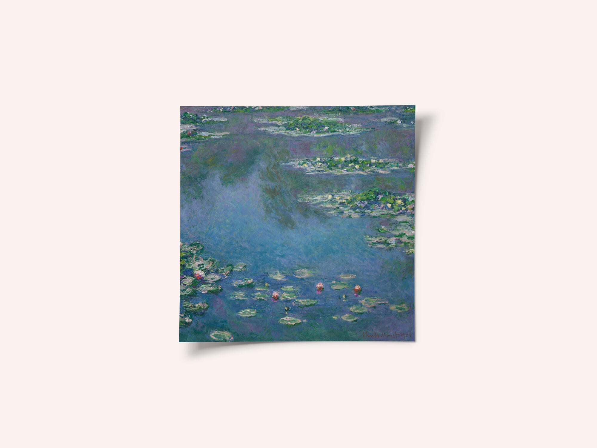 Water Lilies