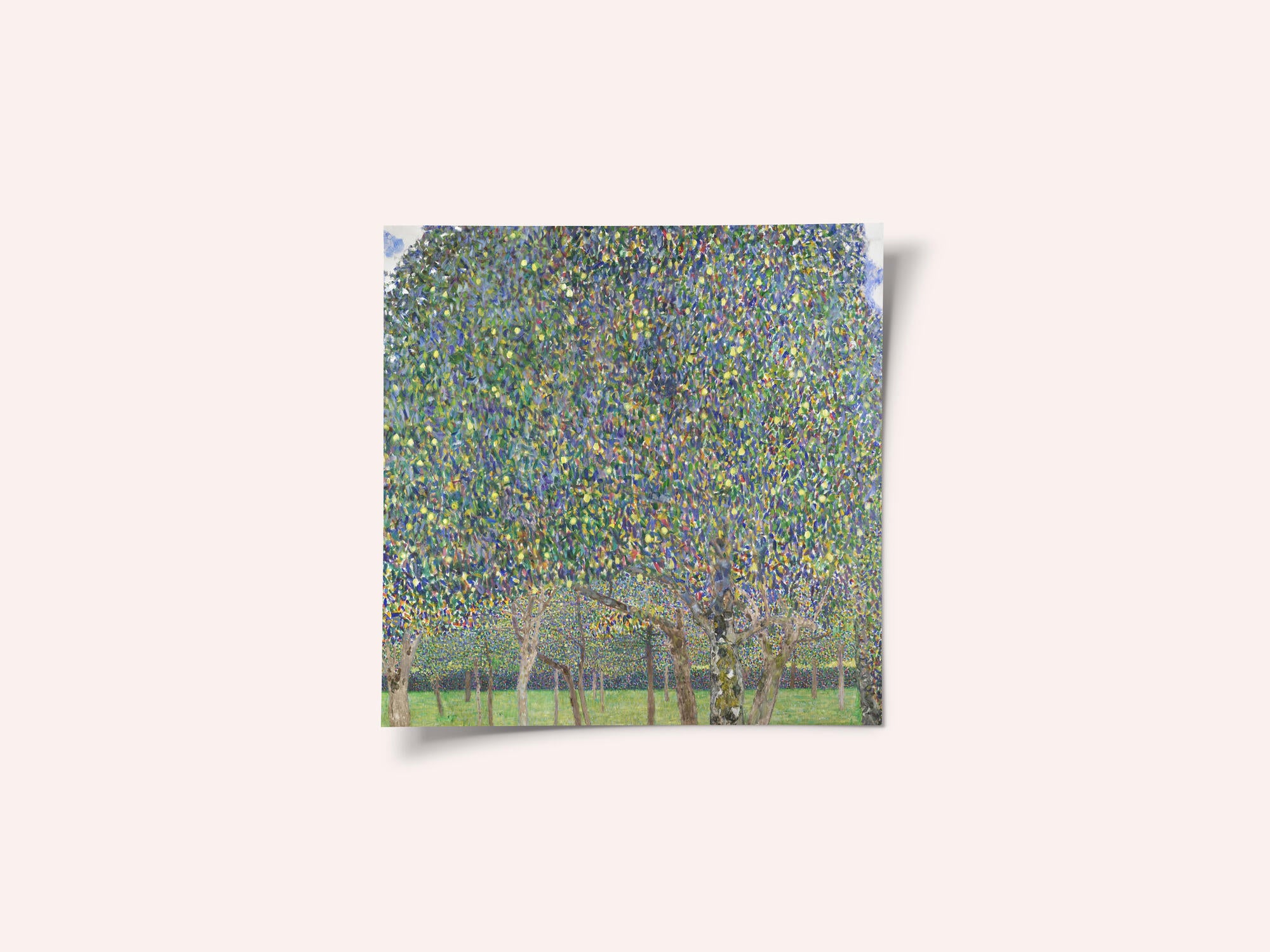 Pear Tree (1903)