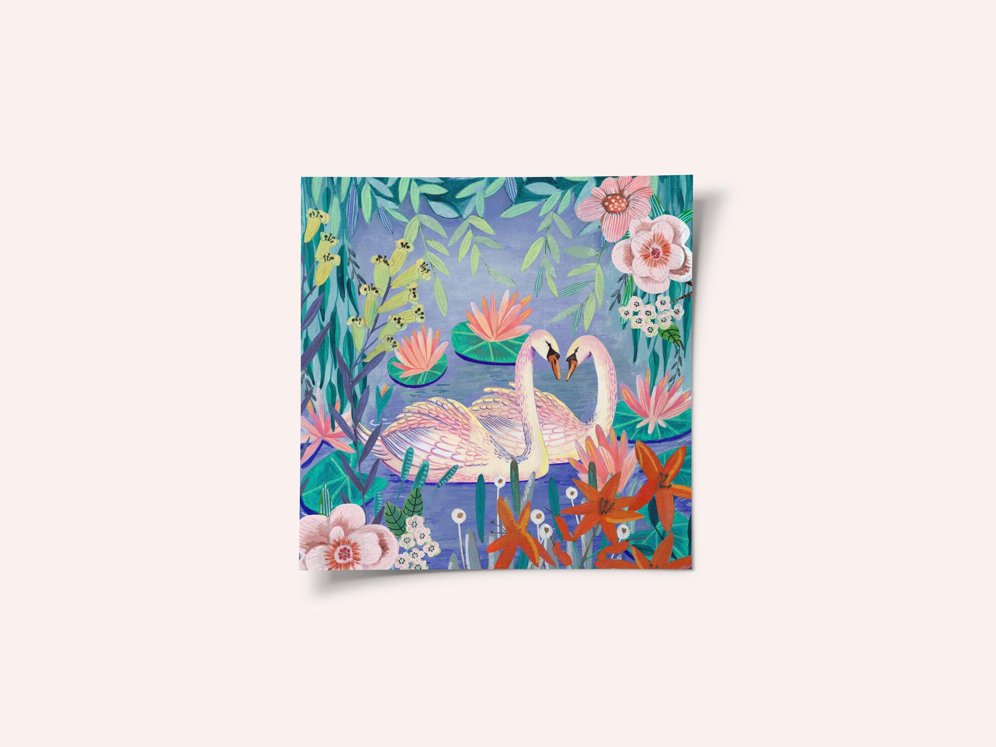 Swans swimming in the pound