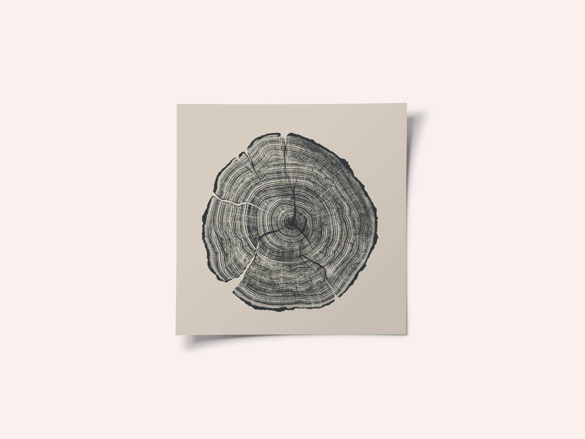 Hand Drawn Oak