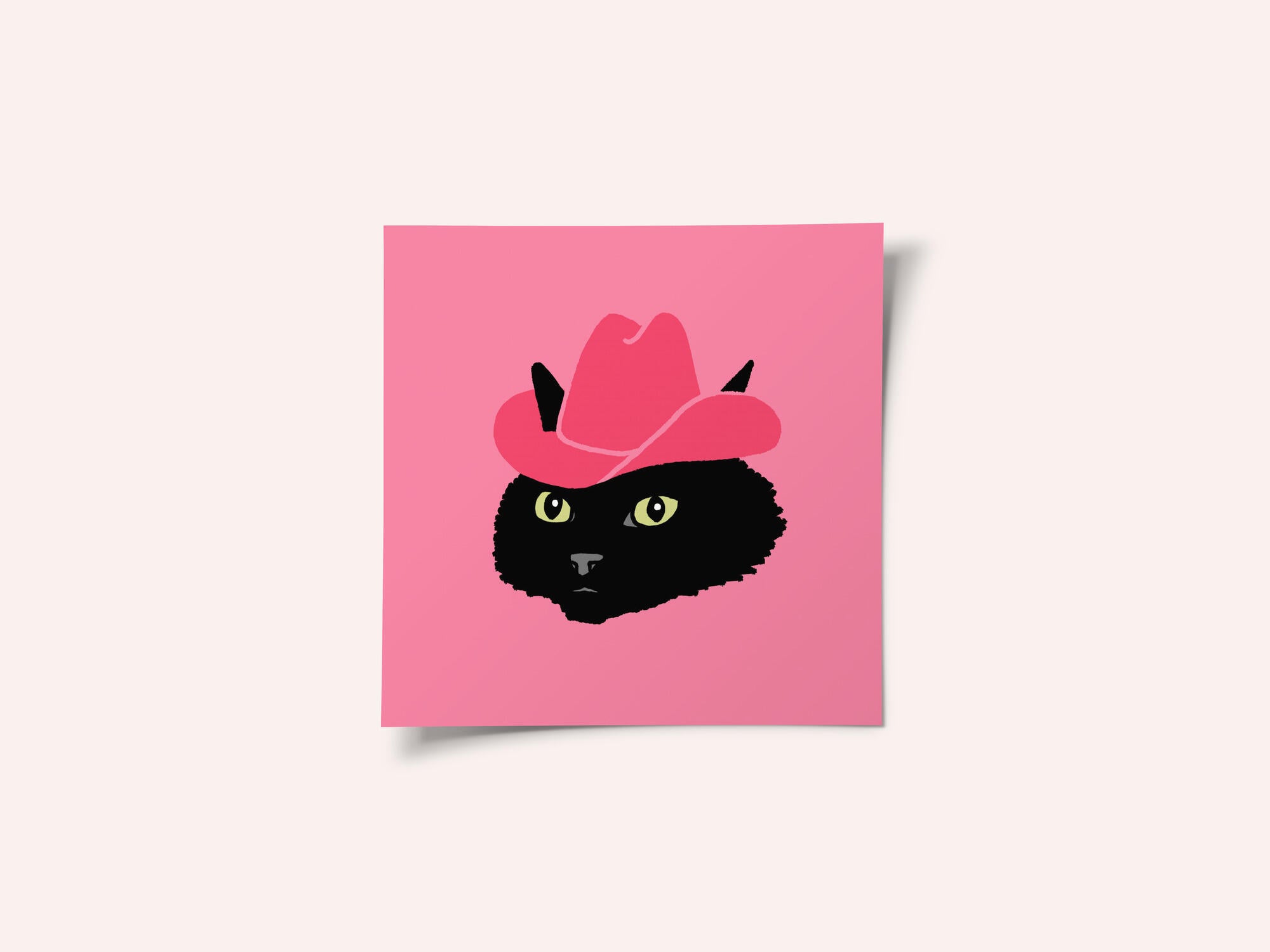 Marcy The Cute Cowgirl Cat