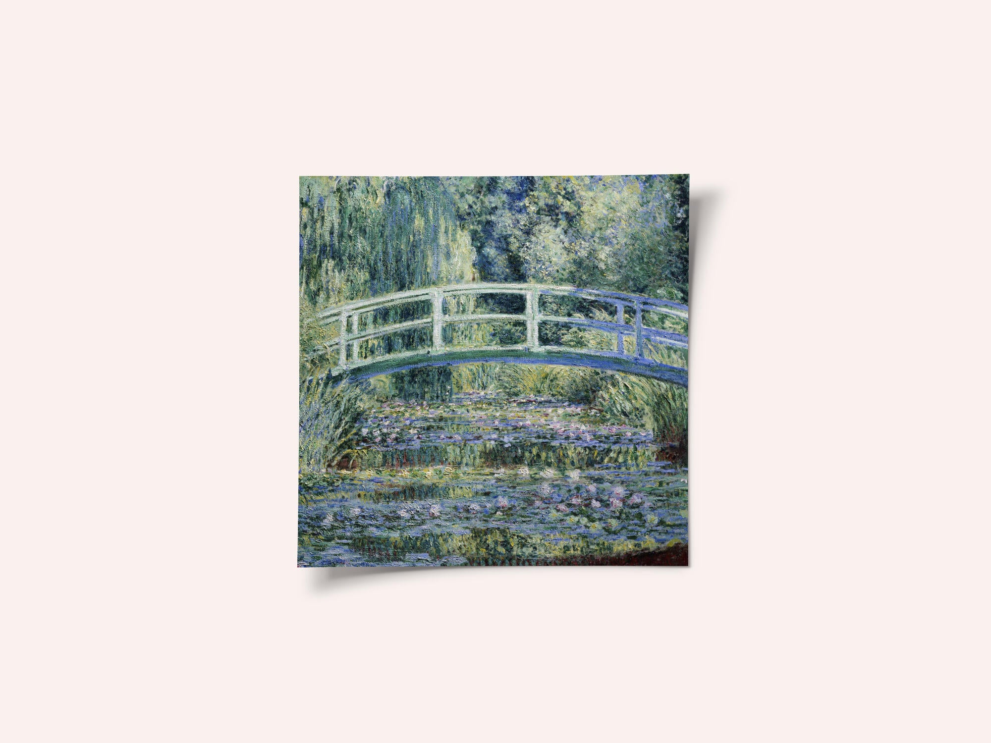 Water Lily Pond