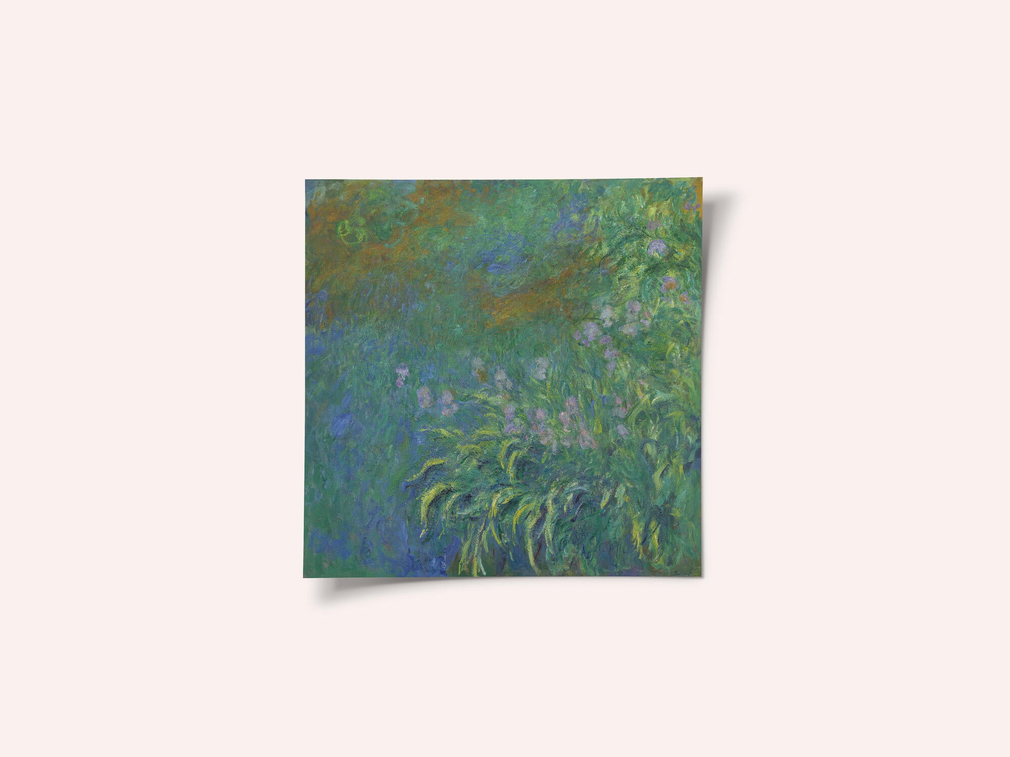 Irises By Claude Monet