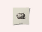 Vintage Vegetables - Potato