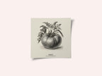 Vintage Vegetables - Tomato