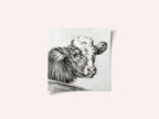 Head of a Cow