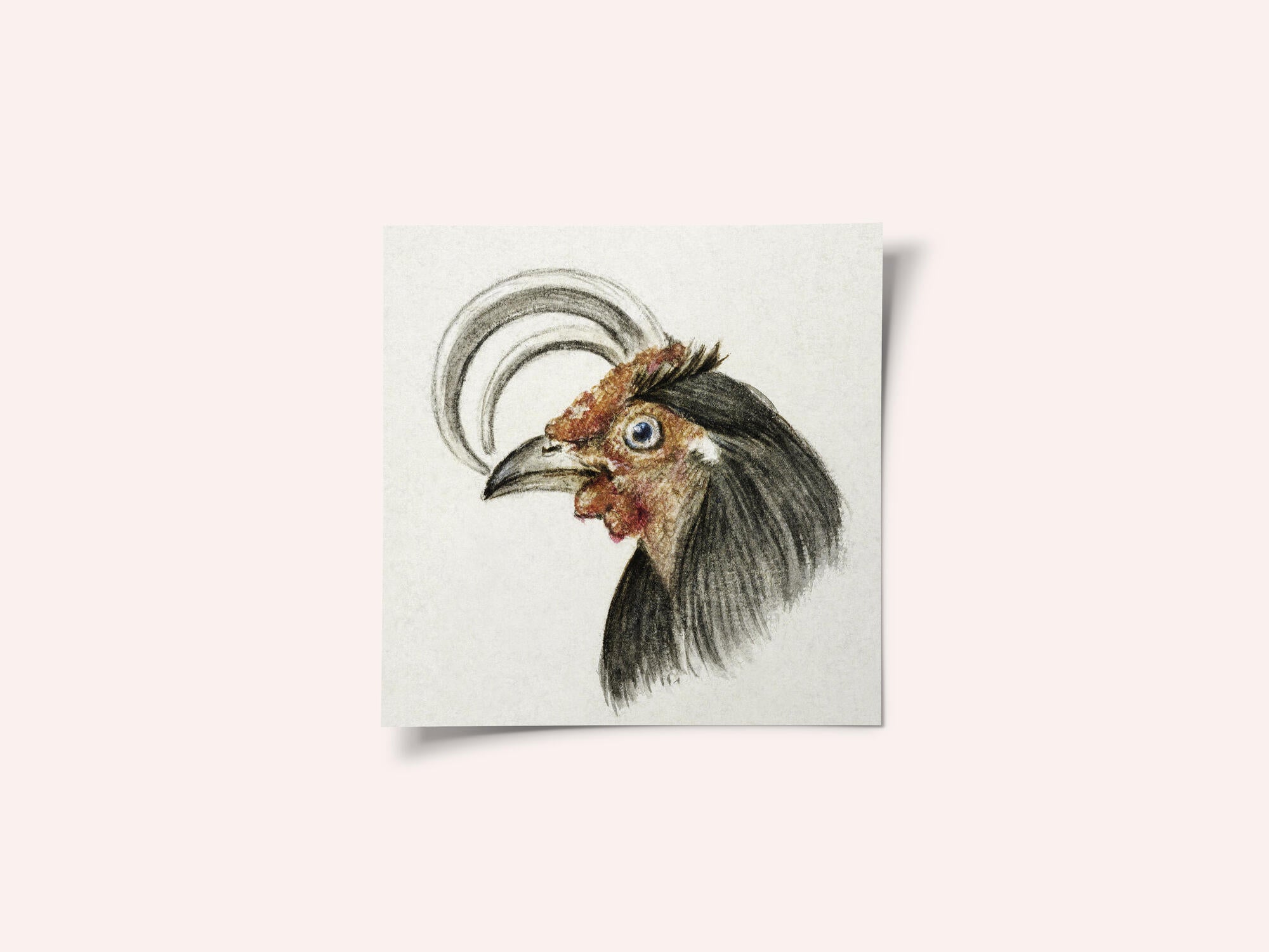 Head of a Rooster (1816)