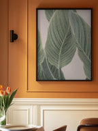 Calla Leaf