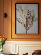 Banksia
