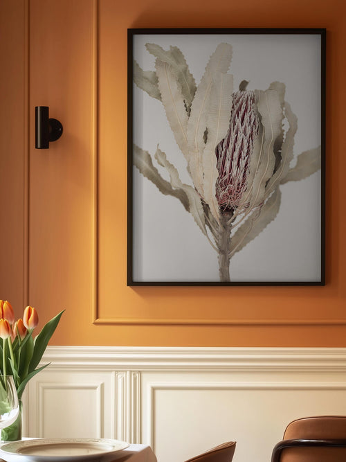 Banksia