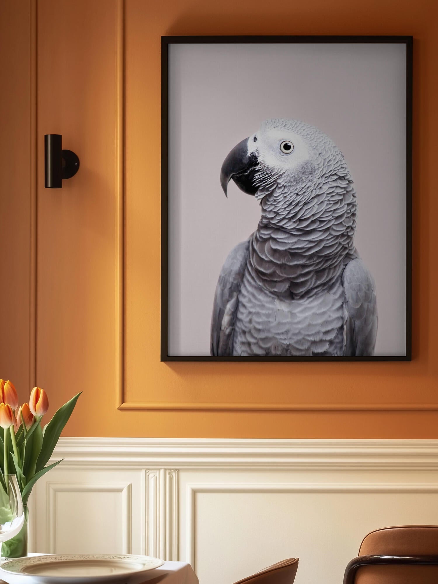 African Grey