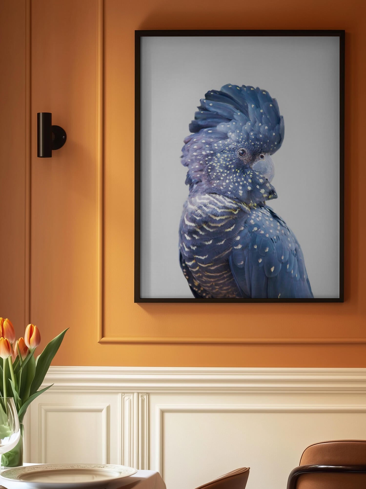 Black Cockatoo