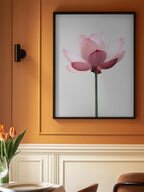 Lotus Flower